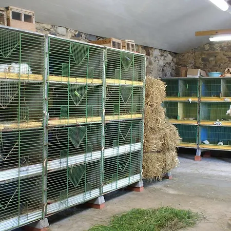 Le Logis des Chons à la campagne à Saint hilaire du Bois - Lys Haut Layon Le Plessis  Extérieur photo
